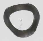 Washer - 00755439 Spring Plate [Bosch Siemens]
