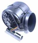 Motor - 1006952 Blower [Amica]